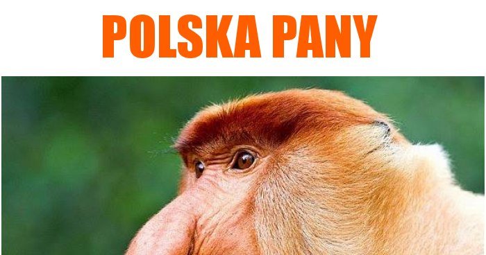 Polska liderem Unii Europejskiej! ... w ilości zakażonych COVID-19 Polska liderem Unii Europejskiej! ... w ilości zakażonych COVID-19