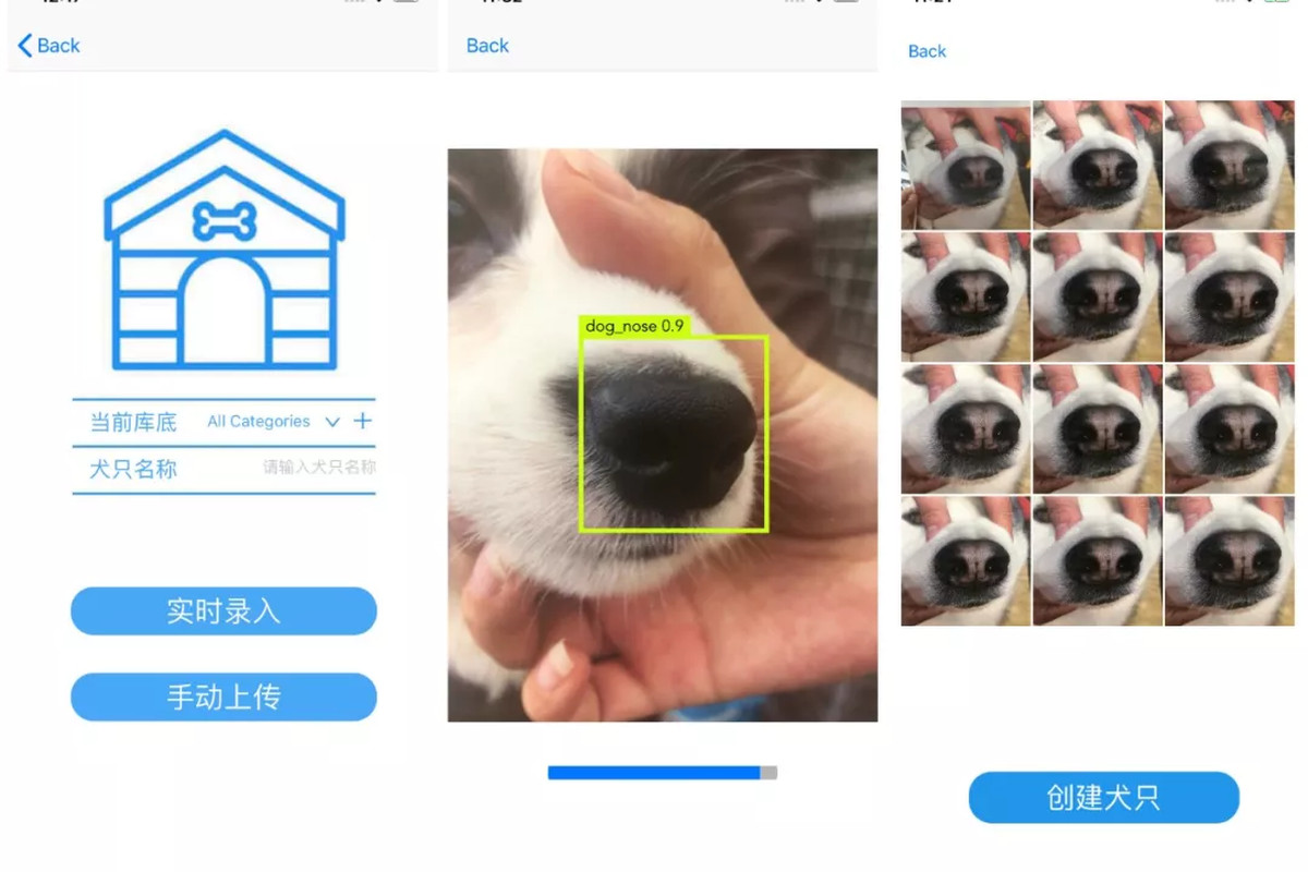 Chiczycy robi apk do rozpoznawania psich nosw