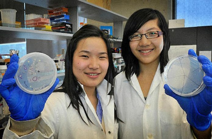 Studenci stworzyli bakteri, ktra zjada plastik i w zamian wytwarza wod