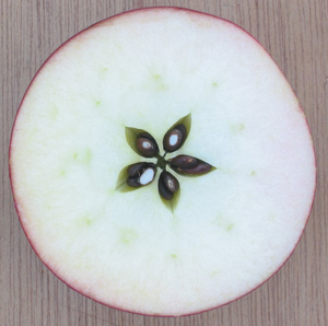 Apple Star. Szto eto?