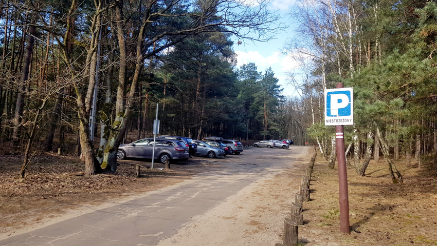 Nowy rodzaj biznesu, wypoyczanie lasu na spacery