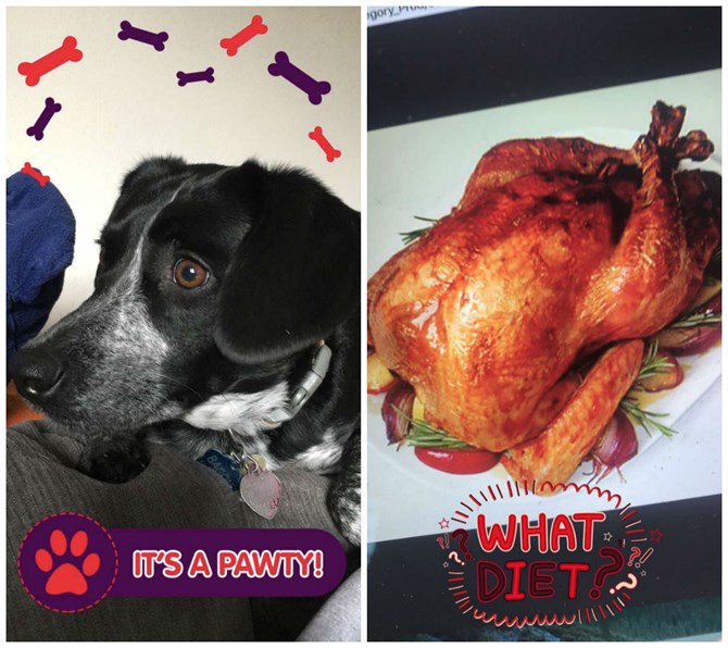 Nowe filtry Snapchata rozpoznają zwierzęta i jedzenie Nowe filtry Snapchata rozpoznają zwierzęta i jedzenie