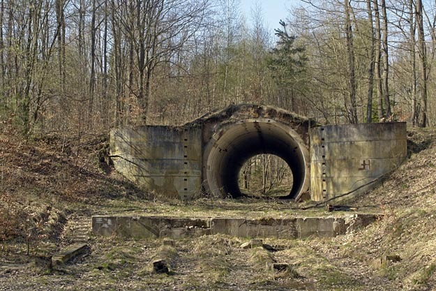 Rosyjski bunkier, bro nuklearna i mrwki-kanibale