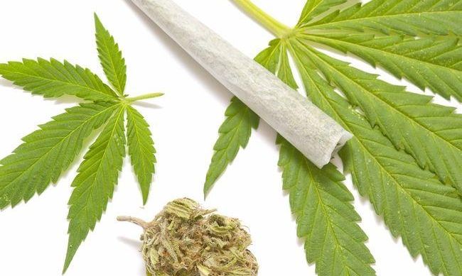 Cha, Cha, Ju To Widz, czyli powsta parlamentarny zesp ds. legalizacji marihuany